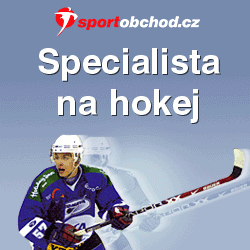 www.sportobchod.cz/hokejova-vystroj